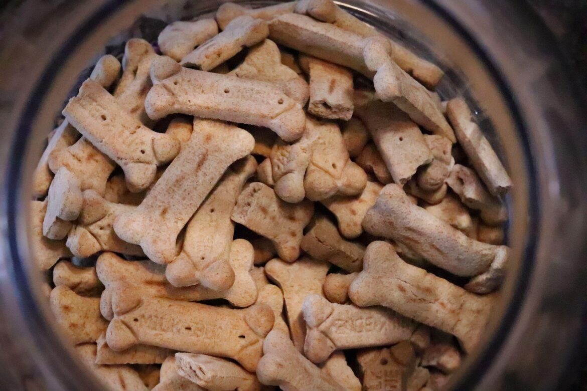 Tailored Nutrition: Selecting the Best Food for Your Dog’s Health